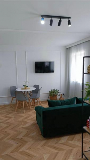 Apartament nad Jeziorem Drwęckim w Ostródzie z klimatyzacją Ostróda